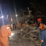 Angin Kencang Disertai Hujan Landa Bulukumba,Kades Bontonyelang Nyaris Tertimpa Pohon Tumbang