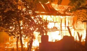 IMG 20250329 025905 copy 800x572