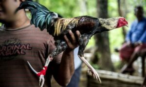 Point Blur Mar212025 141434