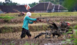 734a73d81becd0f5b114c382af2831a0 copy 800x468