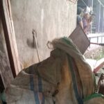 Pelaku Pencurian Beraksi, Mesin Traktor Warga Balibo Dan 2 Ekor Sapi Di Polewali Raib