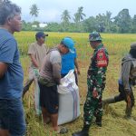 Desa Bontonyeleng Surplus Beras, Capai Rp26 Miliar Hasil Panen Padi Tahun ini