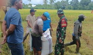 IMG 20250223 WA0046 copy 800x600