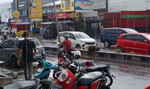 IMG 20250409 171548 copy 800x548