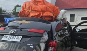 IMG 20250421 161334 copy 800x708 1