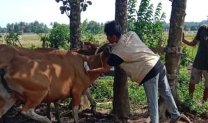 IMG 20250426 142208 copy 800x732