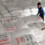 Masuk Musim Tanam, Petani  Di Bulukumba Berharap Mudah Mendapatkan  Pupuk