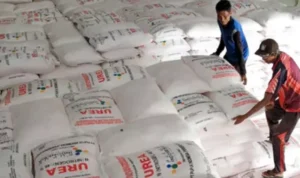 Pupuk Subsidi copy 800x535