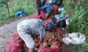 FB IMG 1747134058292 copy 800x410