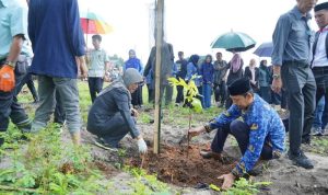 FB IMG 1747729981882 copy 800x533