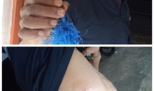 GridArt 20250504 002915506 copy 800x800