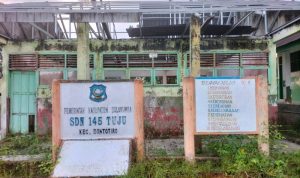 IMG 20250525 WA0061 copy 800x600