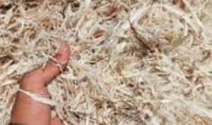 IMG 20250513 174656 copy 800x691