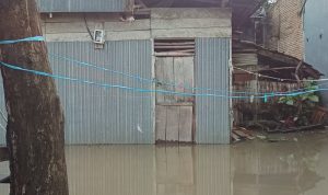 IMG 20250521 091657 copy 800x600