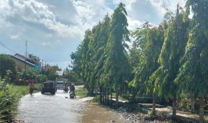 IMG 20250522 115120 copy 800x632 2