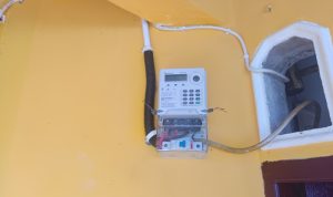 IMG 20250525 125855 copy 800x499