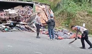 IMG 20250526 165158 copy 800x570