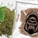 Jaga Anak Anda, Narkoba Jenis Tembakau Sinte Mulai Sasar Kalangan Remaja Di Bulukumba