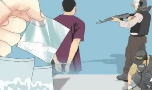 3169435118 copy 800x533