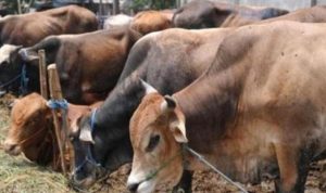 9ba6d801d9c59985630c580ba7f3d140 copy 800x502