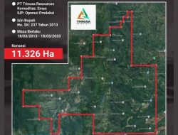 Tambang Emas di Sinjai Ditolak, Bulukumba Terancam Dampak Lingkungan
