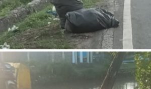 GridArt 20250615 181118018 copy 800x769