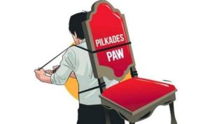 IMG 20250213 WA0031 576x430 copy 800x544