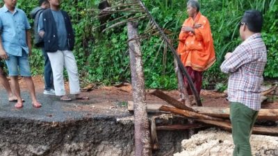 IMG 20250628 WA00581 copy 800x662