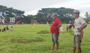 IMG 20250603 162940 copy 800x600