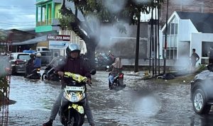 IMG 20250607 160316 copy 800x613