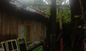 IMG 20250608 160349 copy 800x642