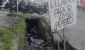 IMG 20250609 174032 copy 800x592