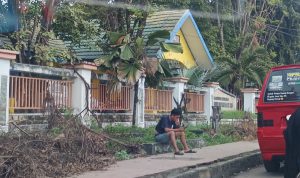 IMG 20250611 144953 copy 800x546