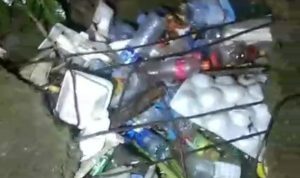 IMG 20250612 103040 copy 800x701