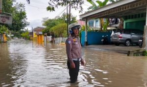 IMG 20250612 163327 copy 800x618