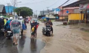 IMG 20250614 171855 copy 800x410