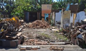 IMG 20250615 161646 copy 800x635