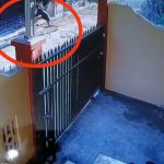 Pencuri Ayam Di Jalan Jati Kota Bulukumba Terekam CCTV , Pelaku Beraksi Sore Hari