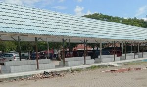 IMG 20250620 175049 copy 800x599