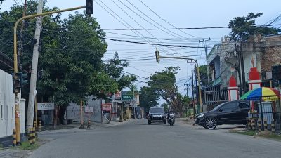 IMG 20250622 124949 copy 800x600