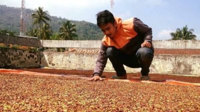 IMG 20250630 145614 copy 800x601 1