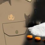 Narkoba Sasar ASN, Oknum Pegawai Di DPRD Bulukumba Diduga Ditangkap Polisi Bawa Sabu