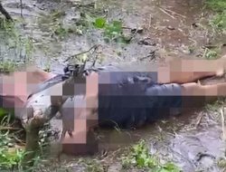 Suami Korban Listrik Jerat Babi Tidak Ditahan Polisi, Ini Alasanya