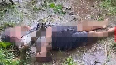 PointBlur Jun292025 182325 copy 800x512