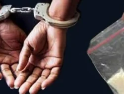 Bulan Juni 2025, Jumlah Warga Bulukumba yang Ditangkap Kasus Narkoba