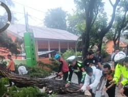 Hari Libur, Anggota Lalulintas di Bulukumba Bantu Evakuasi Pohon Tumbang
