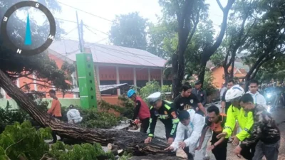 Anggota Satlantas Polres Bulukumba membantu mengevakuasi pohon tumbang di Jalan Sultan Hasanuddin.