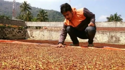 Petani di Bulukumba menjemur cengkeh yang harganya kini tembus Rp115.000 per kilogram.