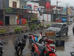 Hujan Lebat, Waspada Bencana Alam Tanah Longsor Hingga Pohon Tumbang