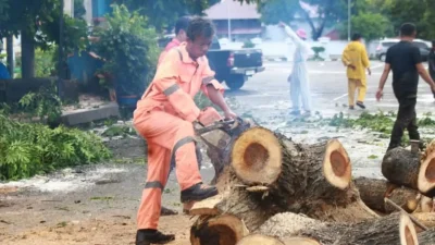 Potret Om Ucu sang penakluk pohon tumbang di Bulukumba yang memiliki tanggal lahir sama dengan HUT Bhayangkara